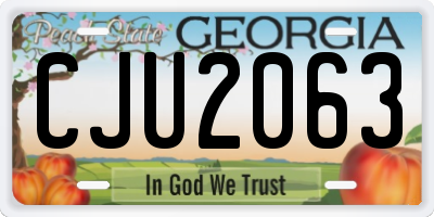 GA license plate CJU2063