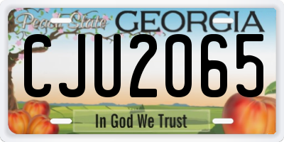 GA license plate CJU2065