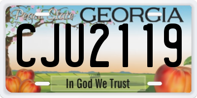 GA license plate CJU2119