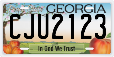GA license plate CJU2123
