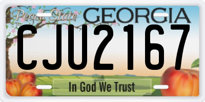 GA license plate CJU2167