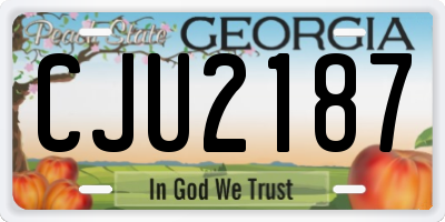 GA license plate CJU2187