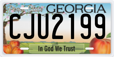 GA license plate CJU2199