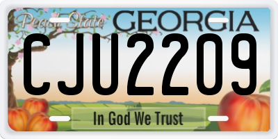 GA license plate CJU2209