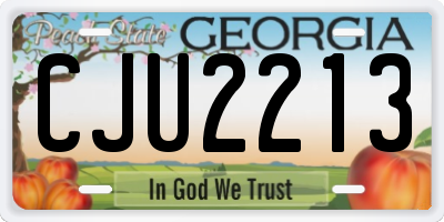 GA license plate CJU2213