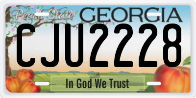 GA license plate CJU2228