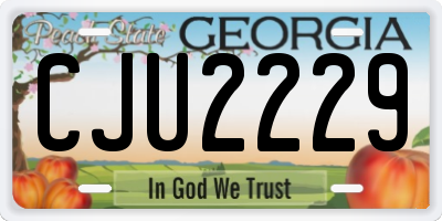 GA license plate CJU2229