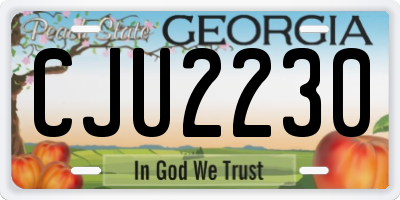GA license plate CJU2230