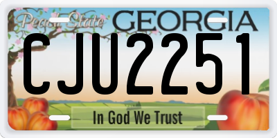 GA license plate CJU2251