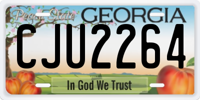 GA license plate CJU2264