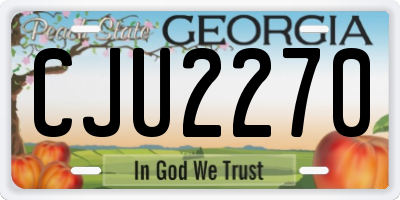 GA license plate CJU2270