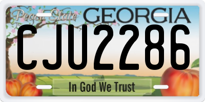 GA license plate CJU2286