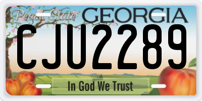 GA license plate CJU2289