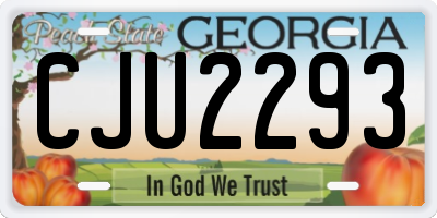 GA license plate CJU2293