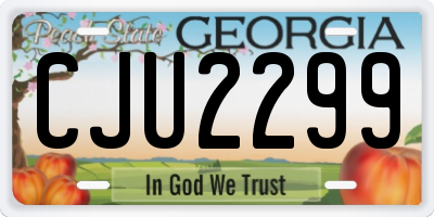 GA license plate CJU2299