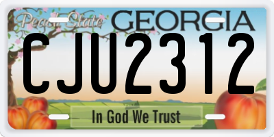 GA license plate CJU2312
