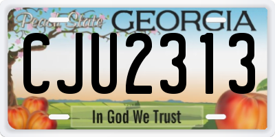 GA license plate CJU2313