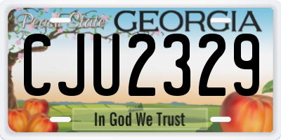 GA license plate CJU2329