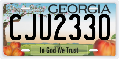 GA license plate CJU2330