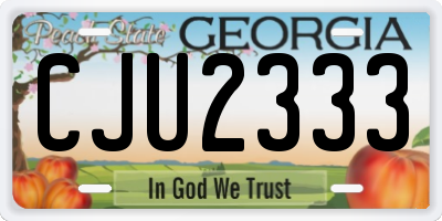 GA license plate CJU2333