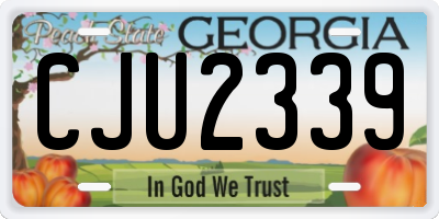 GA license plate CJU2339