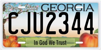 GA license plate CJU2344