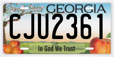 GA license plate CJU2361