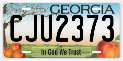 GA license plate CJU2373