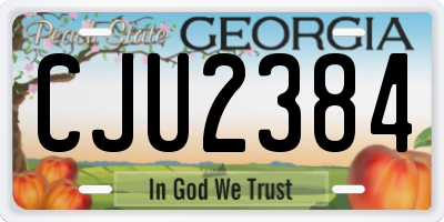 GA license plate CJU2384