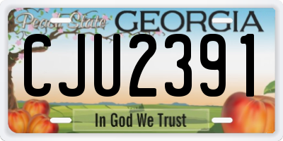 GA license plate CJU2391