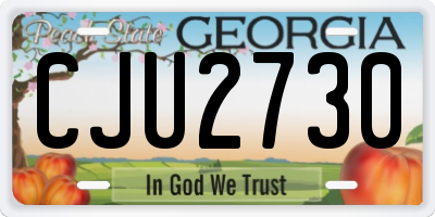 GA license plate CJU2730