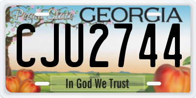 GA license plate CJU2744