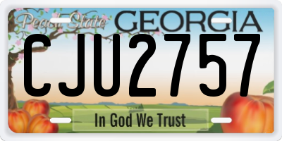 GA license plate CJU2757