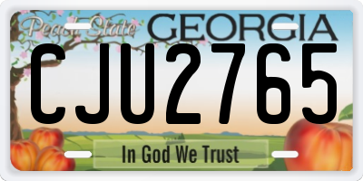 GA license plate CJU2765