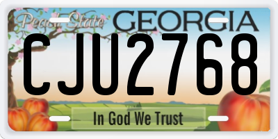GA license plate CJU2768