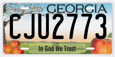 GA license plate CJU2773