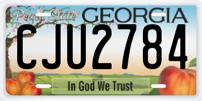 GA license plate CJU2784