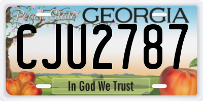 GA license plate CJU2787