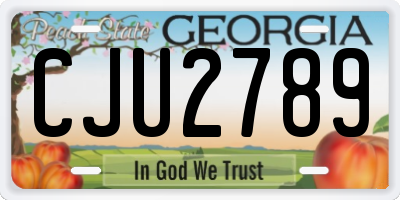 GA license plate CJU2789