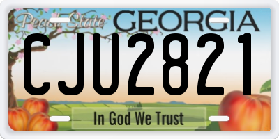 GA license plate CJU2821