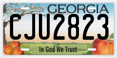 GA license plate CJU2823