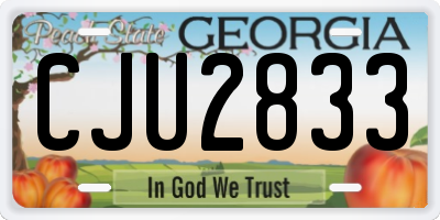 GA license plate CJU2833