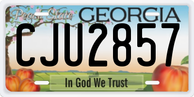 GA license plate CJU2857