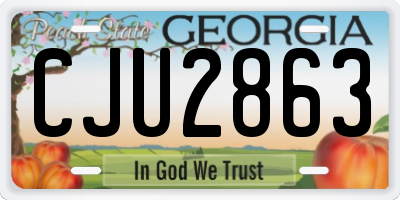 GA license plate CJU2863