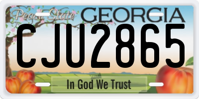 GA license plate CJU2865