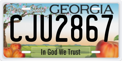 GA license plate CJU2867