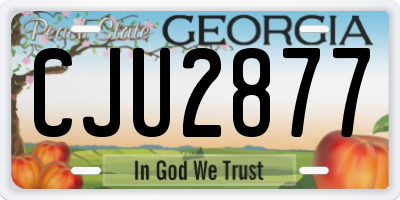 GA license plate CJU2877