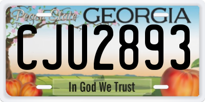 GA license plate CJU2893