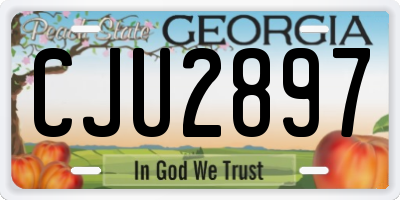 GA license plate CJU2897