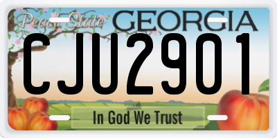 GA license plate CJU2901